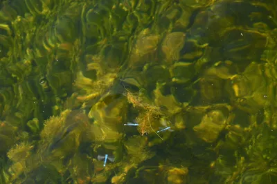 DSC_0051 (Large).JPG